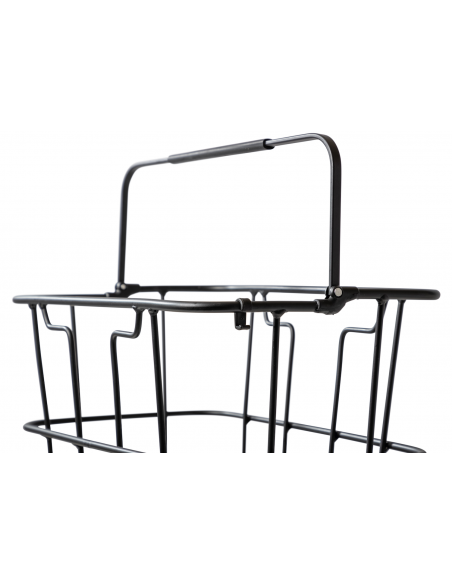 Spectra Korg Pronto Carryup AVS