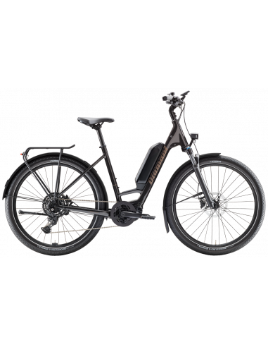 Diamant Zing Trip Core Lowstep 545Wh