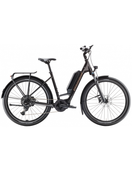 Diamant Zing Trip Core Lowstep 545Wh - Sigge Cykel