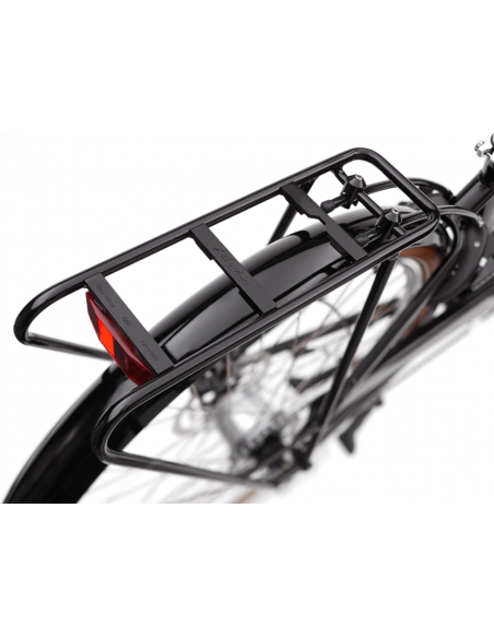 Electra Townie Commute Go! 5i Step Thru