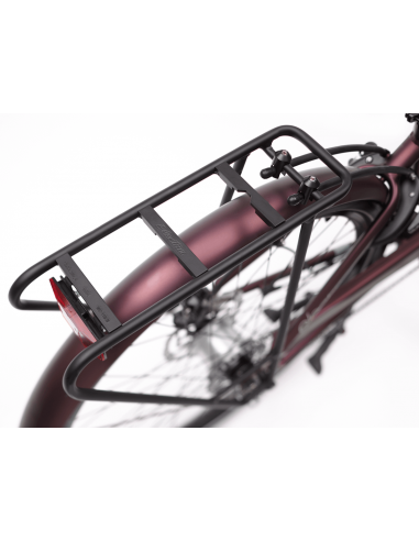 Electra Townie Commute Go! 5i Step Thru