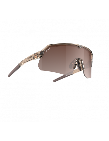 Tripoint Glasögon Treriksröset Transparent Brown / Gradient Brown Lens