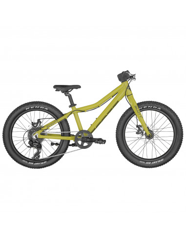 Scott Roxter 20