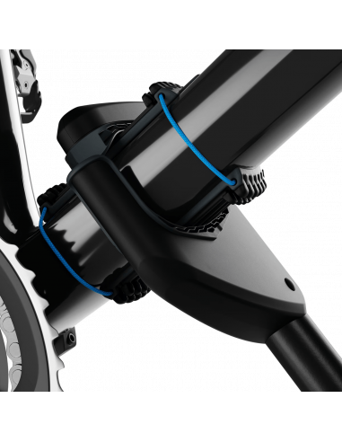 Thule Carbon Frame Protector