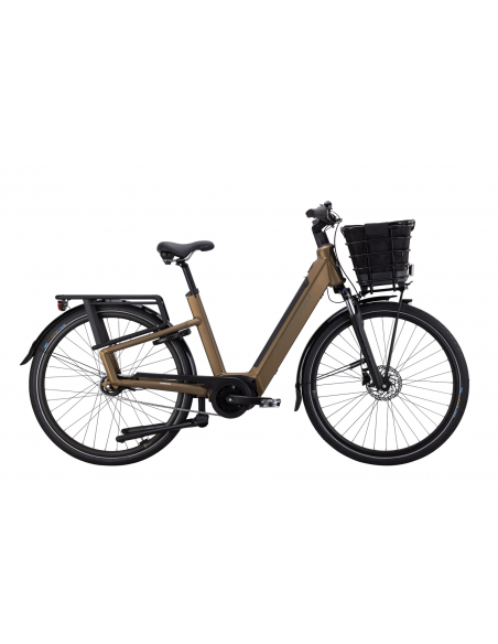 Crescent Elston 20 5vxl