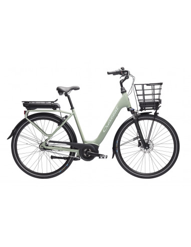 Crescent Elvira 7vxl